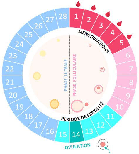 Calendrier des règles, de l'ovulation et suivi de la .
